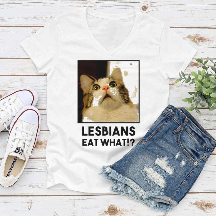 Lesbian Eat What Funny Cat Women V-Neck T-Shirt