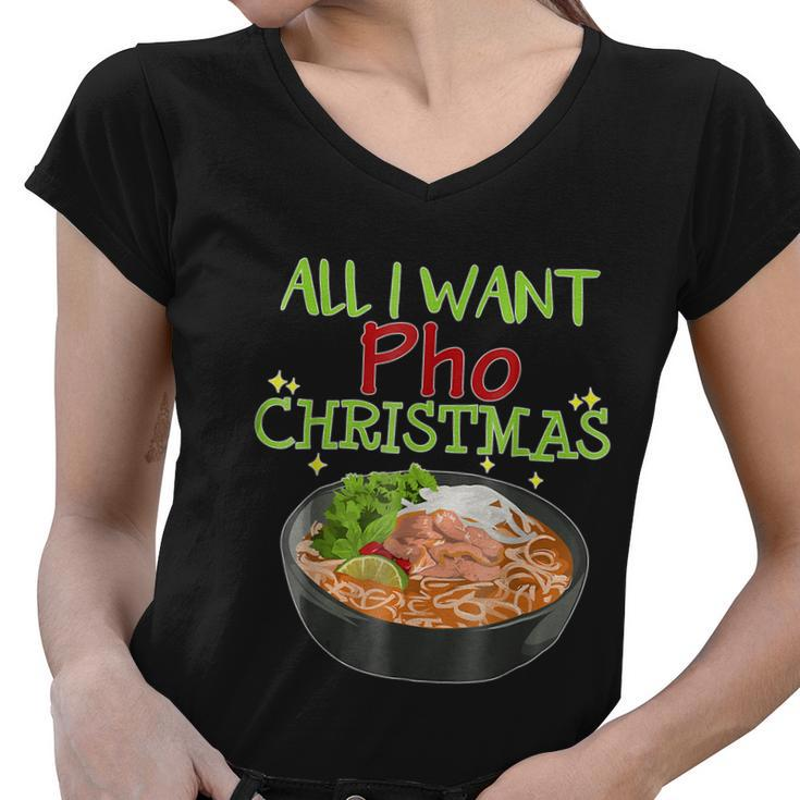 All I Want Pho Christmas Vietnamese Cuisine Bowl Noodles Graphic Design Printed Casual Daily Basic Women V-Neck T-Shirt