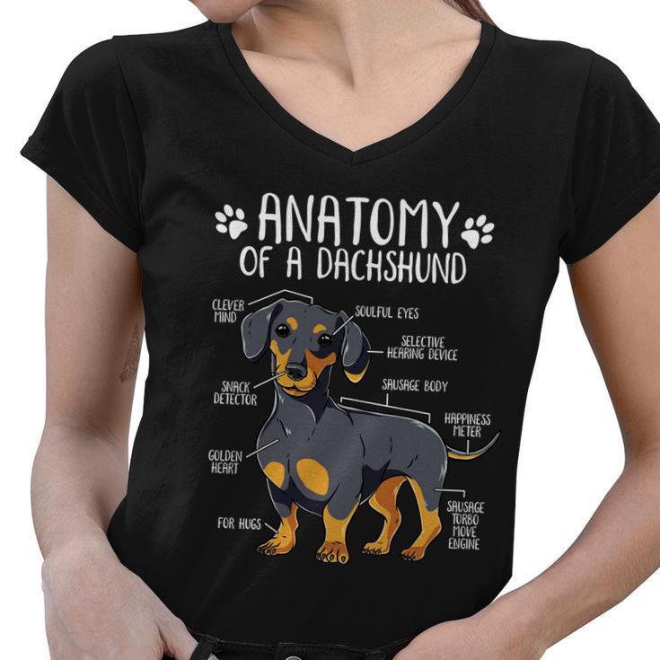 Funny Anatomy Dachshund Wiener Dog Cute Doxie Lover Great Gift Women V-Neck T-Shirt