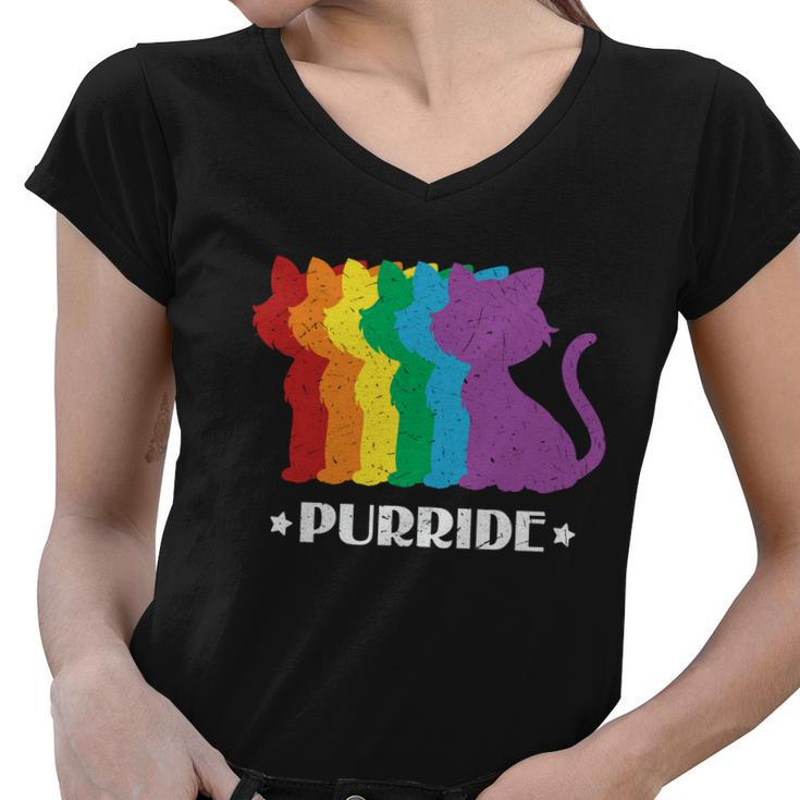 Gay Pride Cat Purride Lgbt Pride Month Women V-Neck T-Shirt