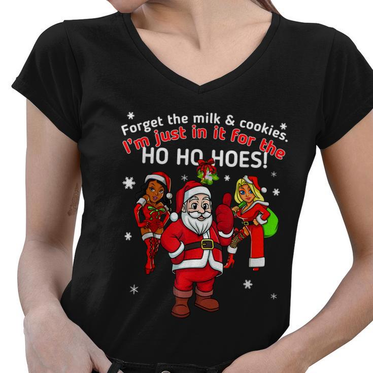 I Do It For The Hos Santa Funny Inappropriate Christmas Men Graphic Design Printed Casual Daily Basic Women V-Neck T-Shirt