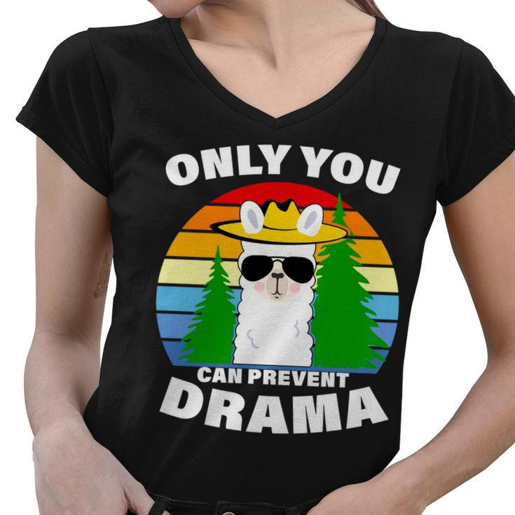 Only You Can Prevent Drama Llama Women V-Neck T-Shirt