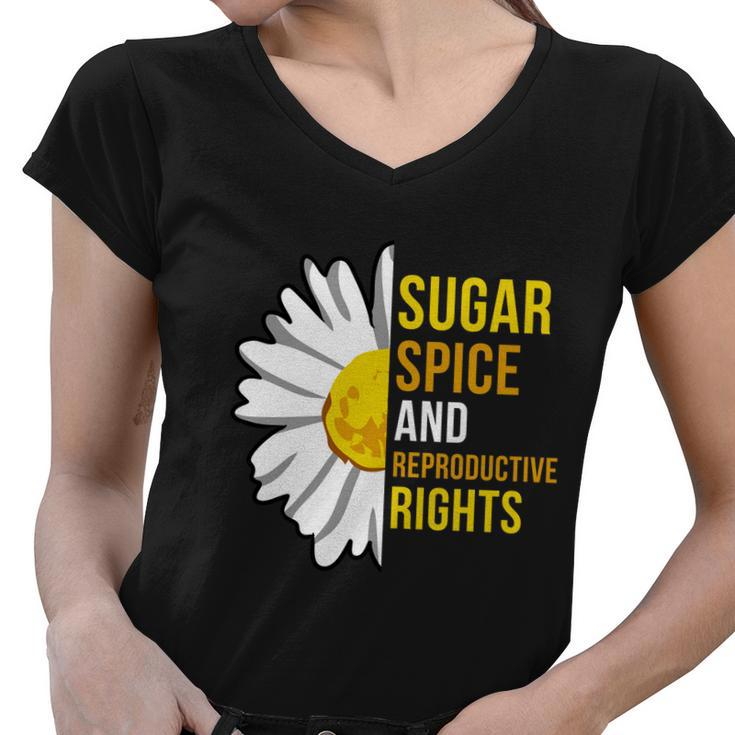 Sugar Spice And Reproductive Rights Gift Women V-Neck T-Shirt