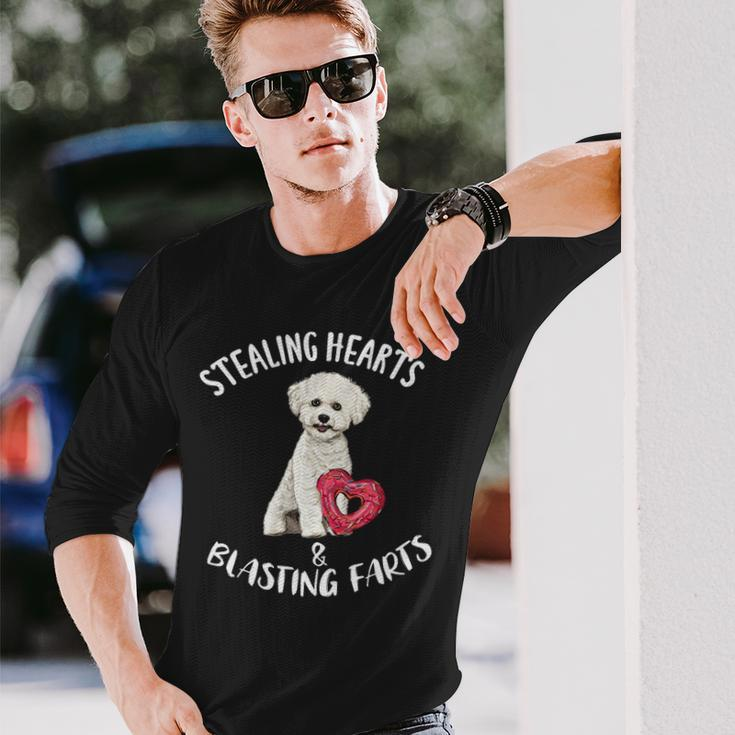 Stealing Hearts Blasting Farts Bichons Frise Valentines Day Long Sleeve T-Shirt Gifts for Him