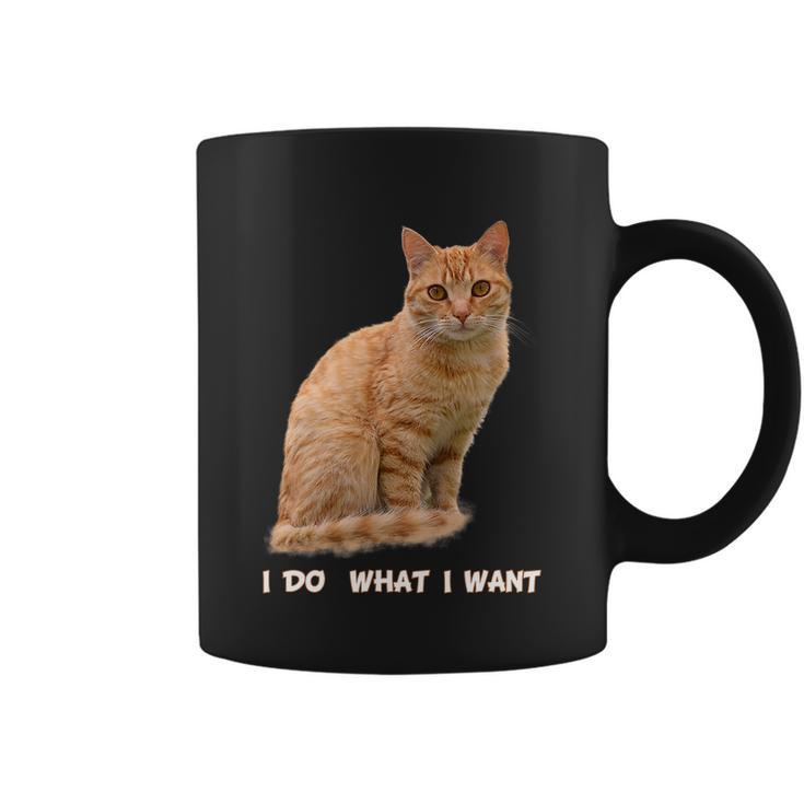 Do What I Want Funny Orange Tabby Cat Lovers Gifts Coffee Mug