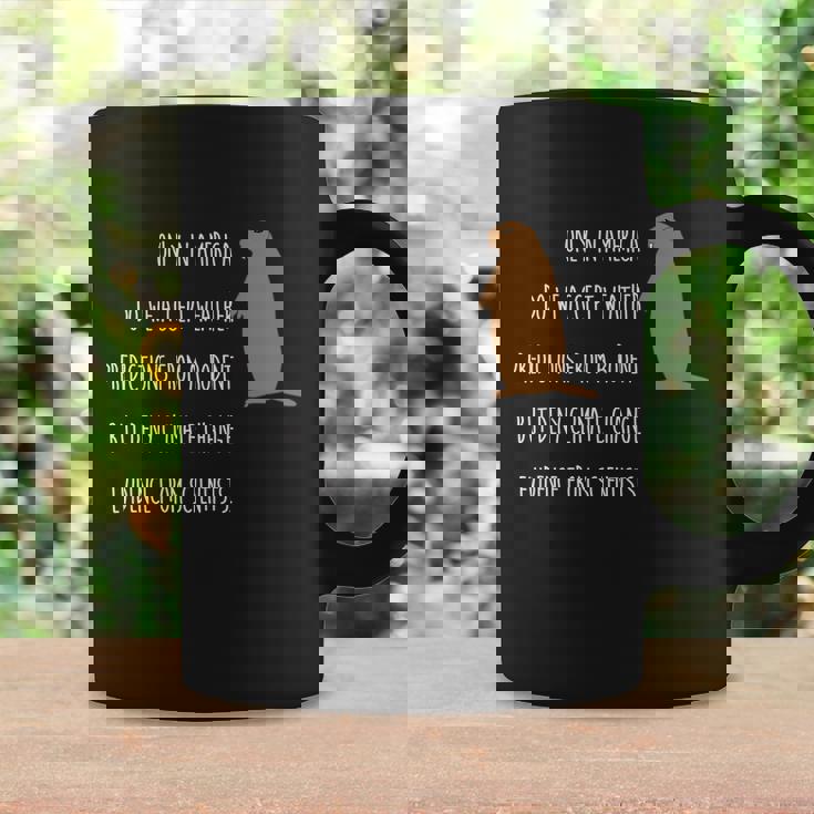 Funny Groundhog Day Only In America Climate Change Gift Funny Gift Tshirt Coffee Mug Gifts ideas