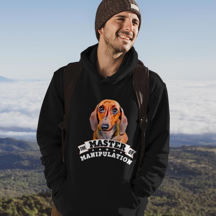 Doxie Wiener Dog Lover Pet Dad Mom Funny Dachshund Gift Hoodie Lifestyle