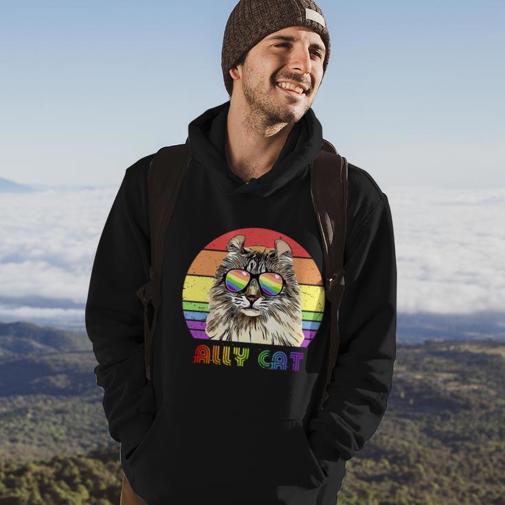 Lgbtq Ally Cat Rainbow Gay Pride Flag Lgbt Funny Gift Hoodie Lifestyle