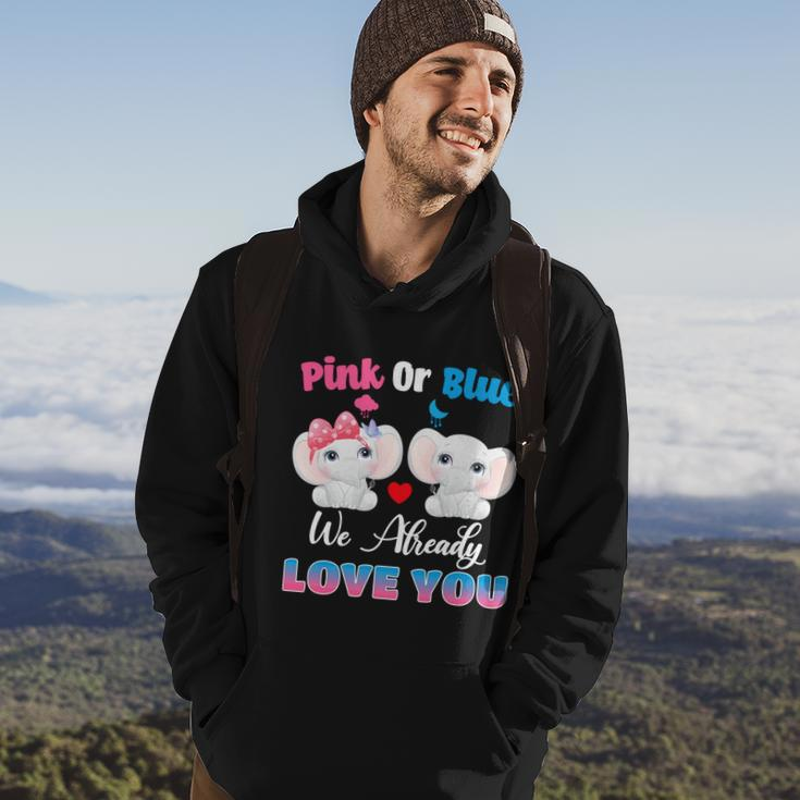 Pink Or Blue We Always Love You Funny Elephant Gender Reveal Gift Hoodie Lifestyle