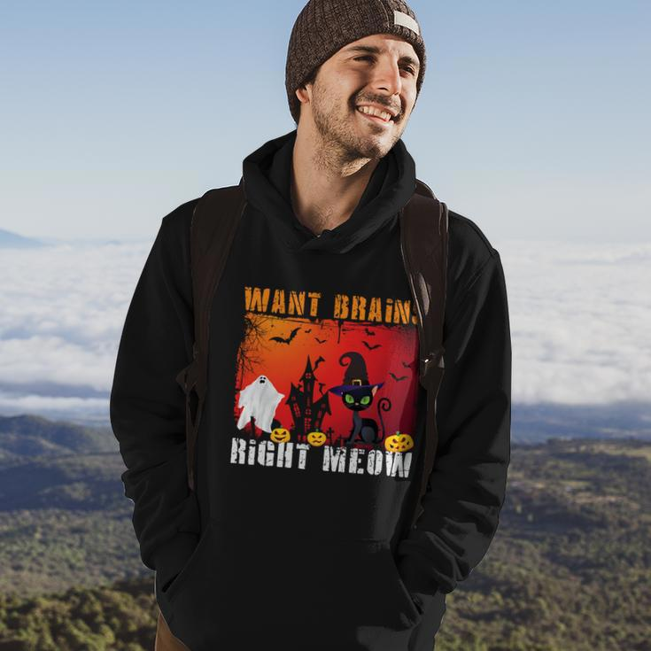 Want Brains Right Meow Cat Halloween Quote Hoodie Lifestyle