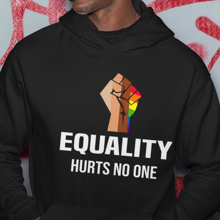 Equality Hurts No One Lgbt Human Rights Gift Hoodie Unique Gifts
