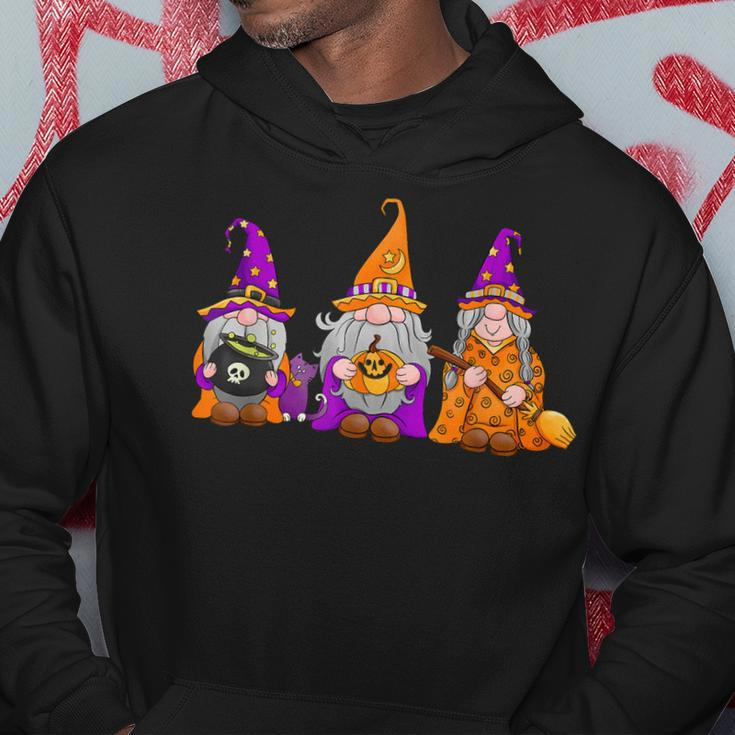 Halloween Gnomes Cute Autumn Pumpkin Fall Funny Holiday Hoodie Funny Gifts