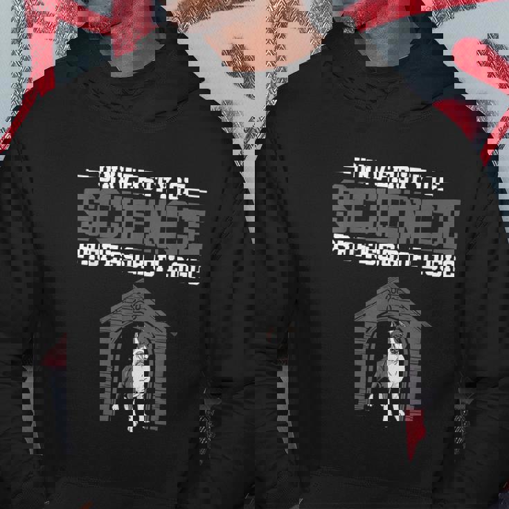 Professor Of Logic At The University Of Science Syllogistic Hoodie Personalized Gifts