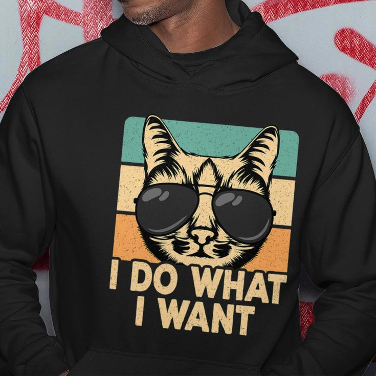 Retro I Do What I Want Funny Cat Lover Hoodie Unique Gifts