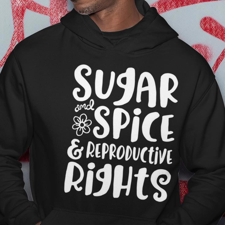 Sugar And Spice And Reproductive Rights Gift Hoodie Unique Gifts