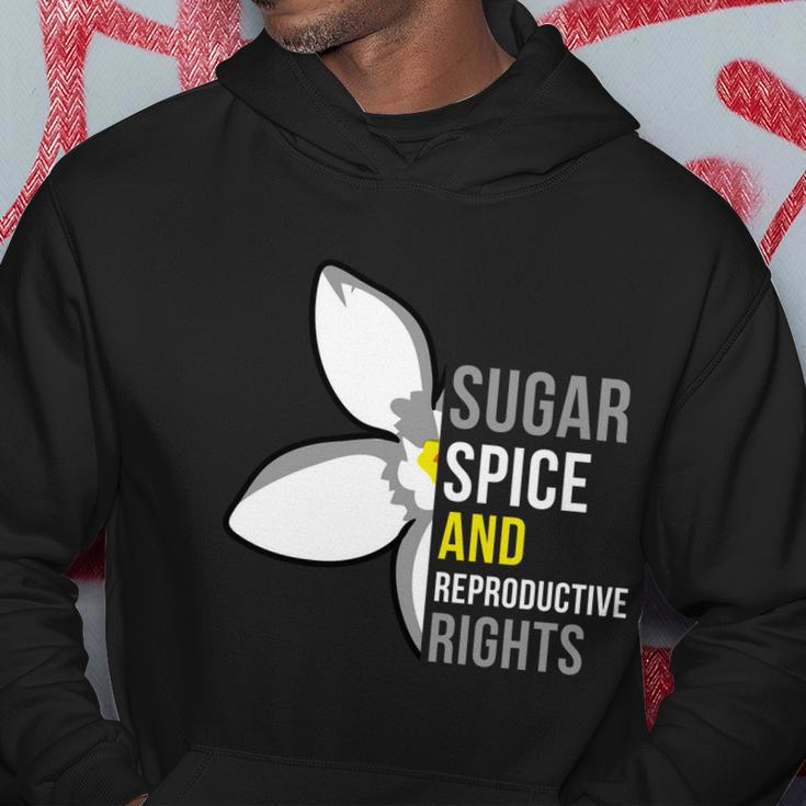 Sugar Spice And Reproductive Rights Funny Gift Hoodie Unique Gifts
