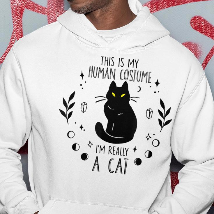 This Is My Human Costume Im Really A Cat Halloween Costume Hoodie Funny Gifts