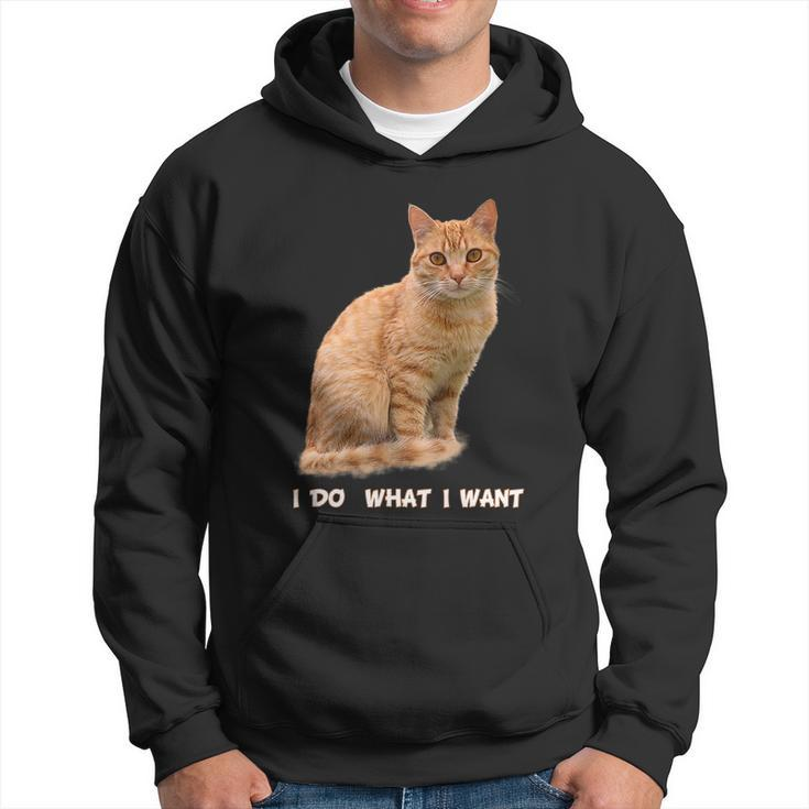 Do What I Want Funny Orange Tabby Cat Lovers Gifts Hoodie