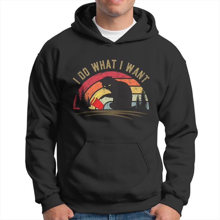 Do What I Want Vintage Black Cat Red Cup Funny My Cat Hoodie