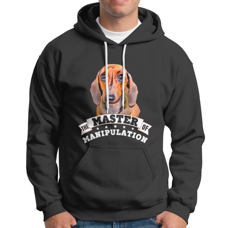 Doxie Wiener Dog Lover Pet Dad Mom Funny Dachshund Gift Hoodie