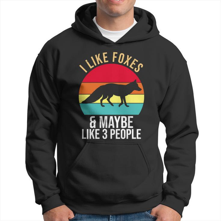 I Like Foxes And Maybe Like 3 People Men Hoodie