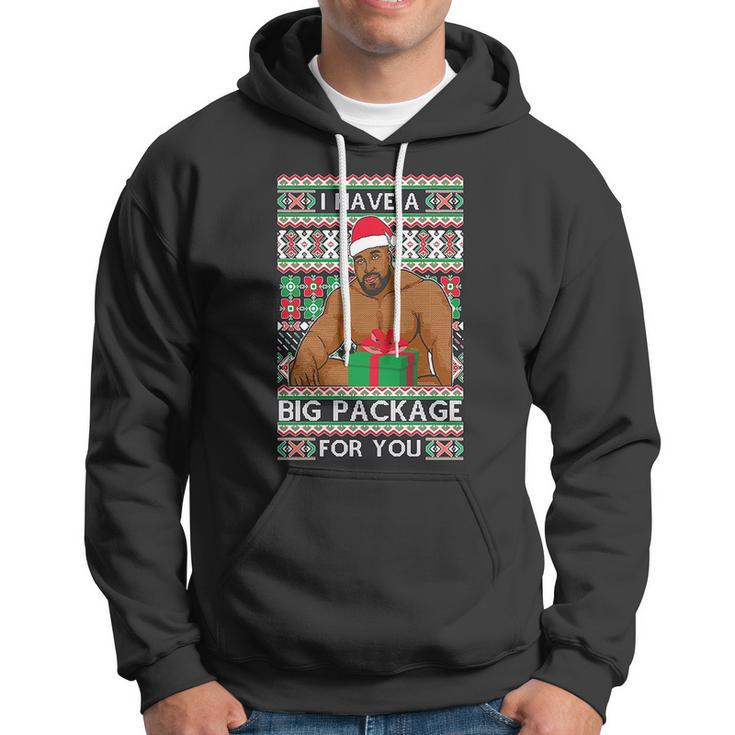 Funny I Have A Big Package For You Ugly Christmas Sweater Tshirt Hoodie