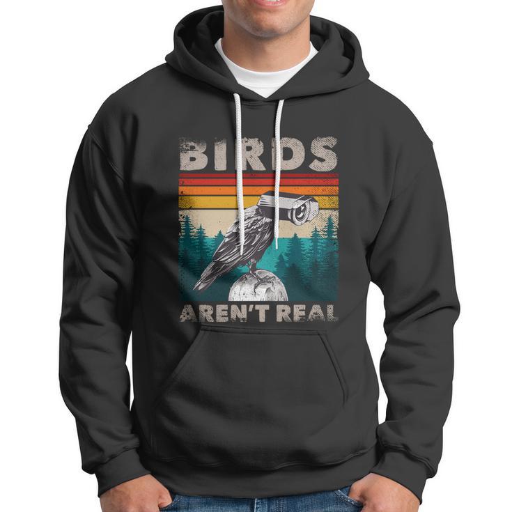 Funny Meme Birds Surveillance Truther Cctv Bird Arent Real Gift Hoodie