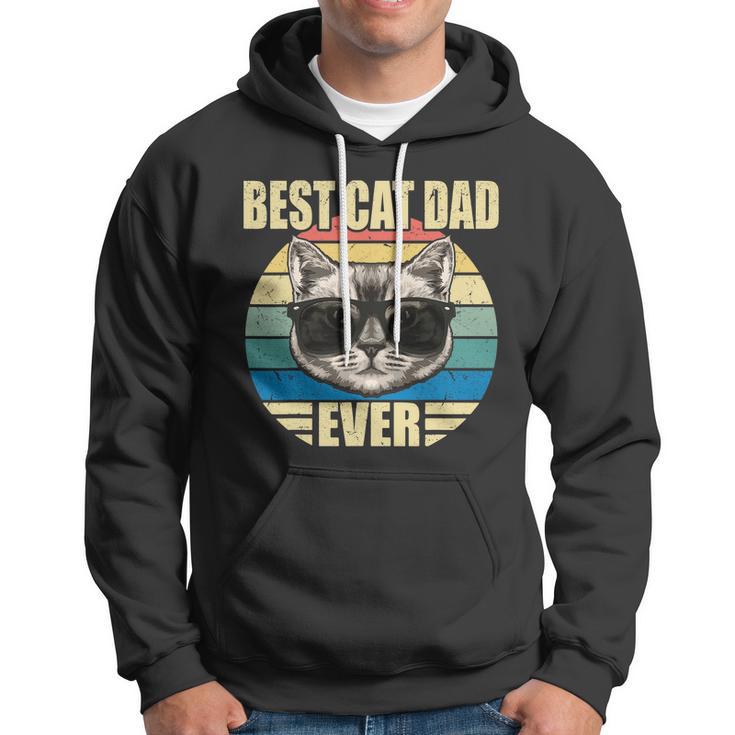 Funny Vintage Cat Daddy Tee Fathers Day Best Cat Dad Ever Hoodie