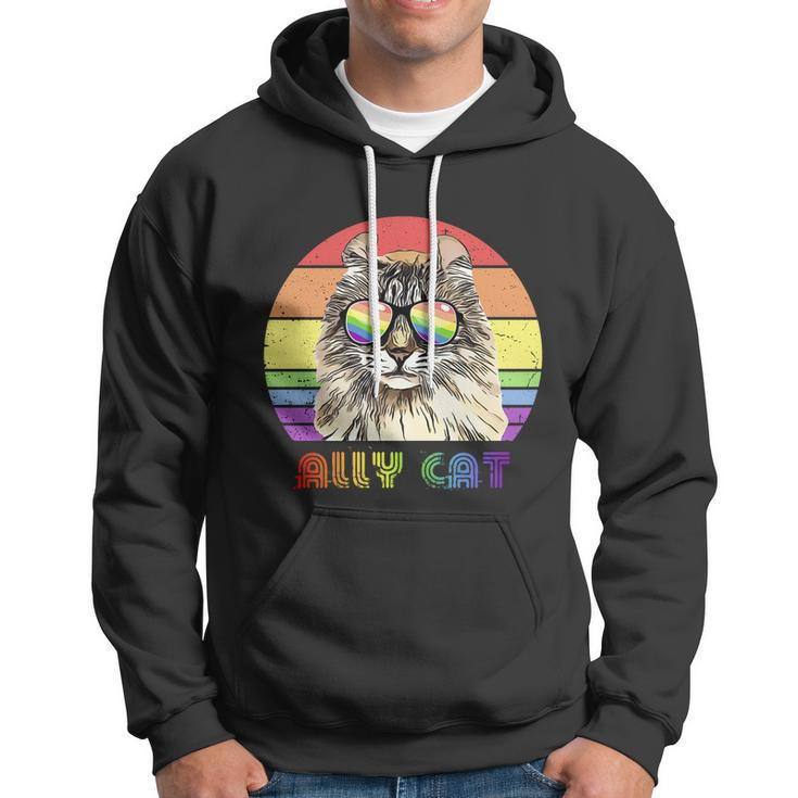 Lgbtq Ally Cat Rainbow Gay Pride Flag Lgbt Funny Gift Hoodie