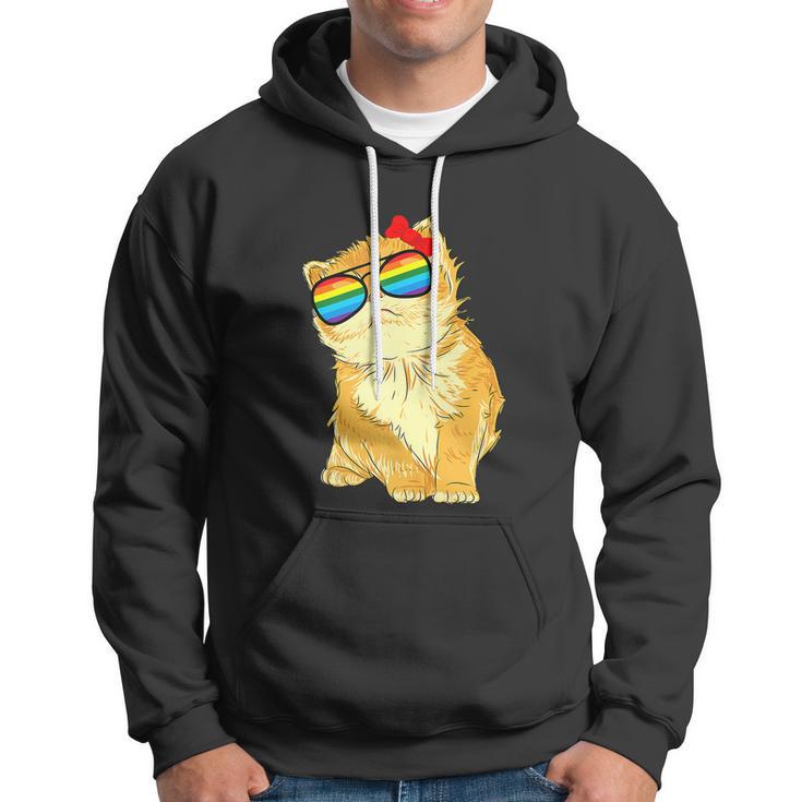 Rainbow Flag Gay Pride Cat Lgbt Pride Month Hoodie