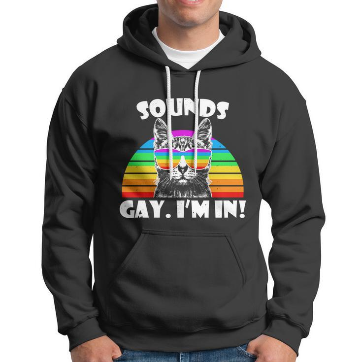 Sounds Gay Im In Rainbow Cat Pride Retro Cat Gay Funny Gift Hoodie