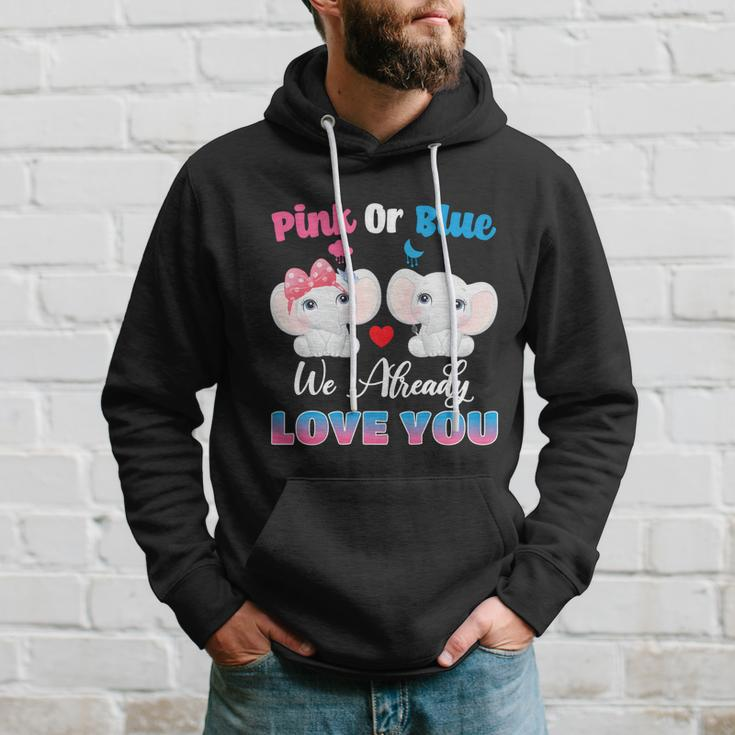 Pink Or Blue We Always Love You Funny Elephant Gender Reveal Gift Hoodie Gifts for Him