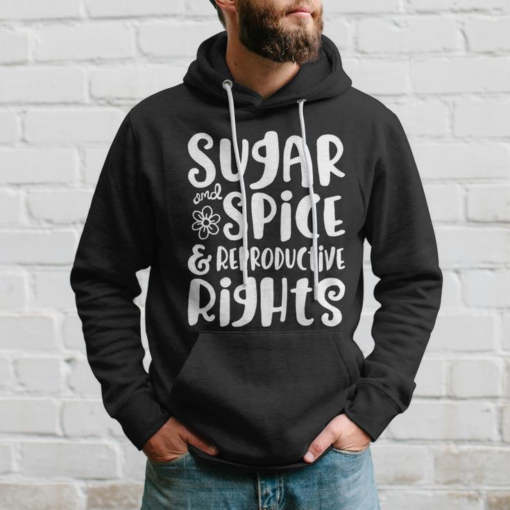 Sugar And Spice And Reproductive Rights Gift Hoodie Gifts for Him