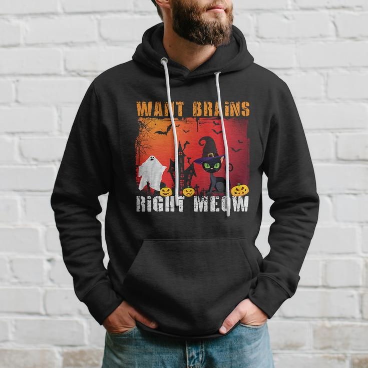 Want Brains Right Meow Cat Halloween Quote Hoodie Gifts for Him