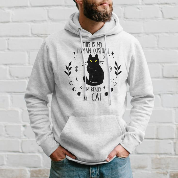 This Is My Human Costume Im Really A Cat Halloween Costume Hoodie Gifts for Him