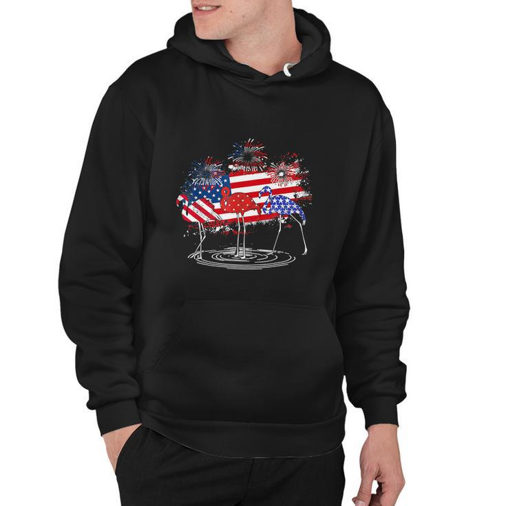 4Th Of July Funny American Flag Flamingo Party Hoodie