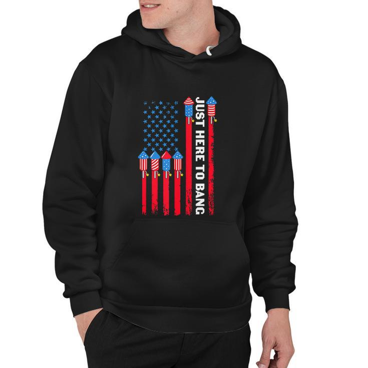 4Th Of July Funny Im Just Here To Bang Usa Flag Hoodie