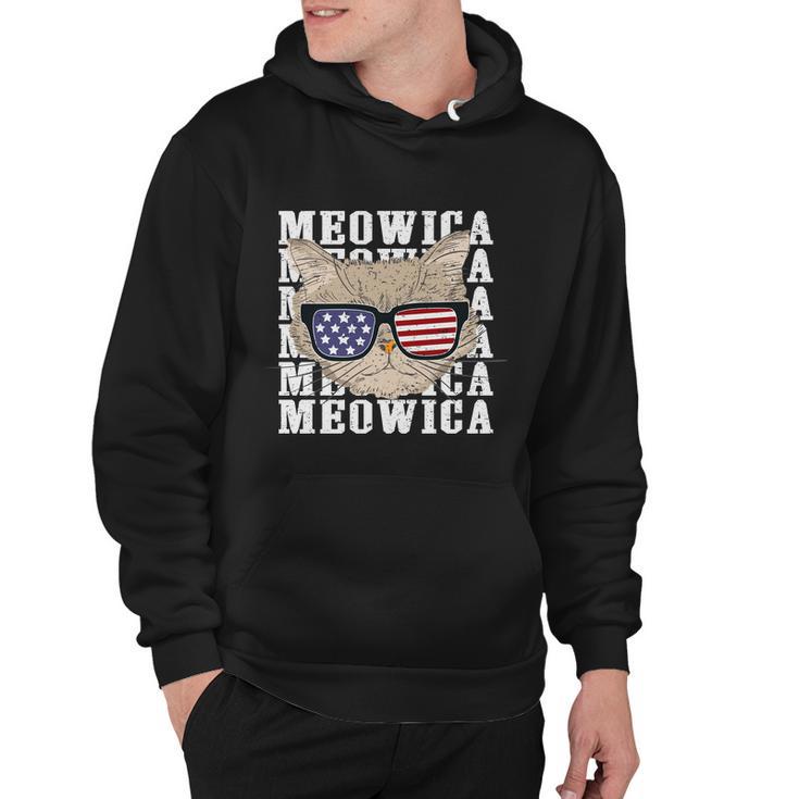 American Flag Glassess Meowica 4Th Of July Cat Hoodie