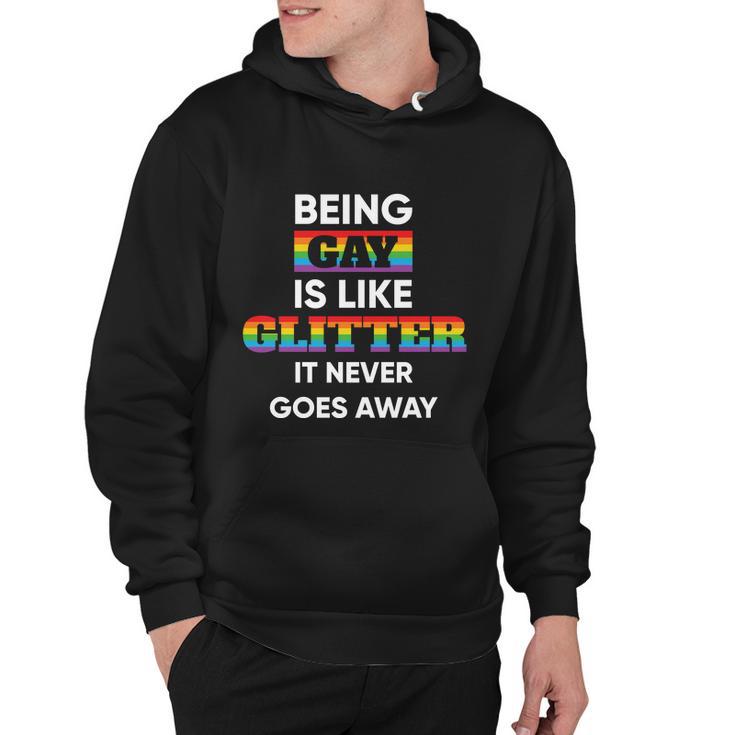 Being Gay Is Like Glitter Lgbt Pride Month Hoodie