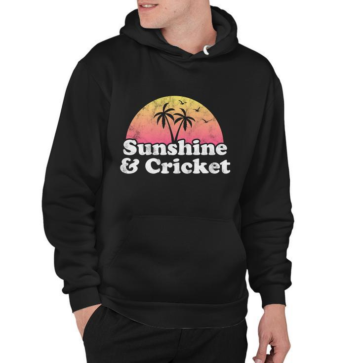 Cricket Gift Sunshine And Cricket Funny Gift Hoodie