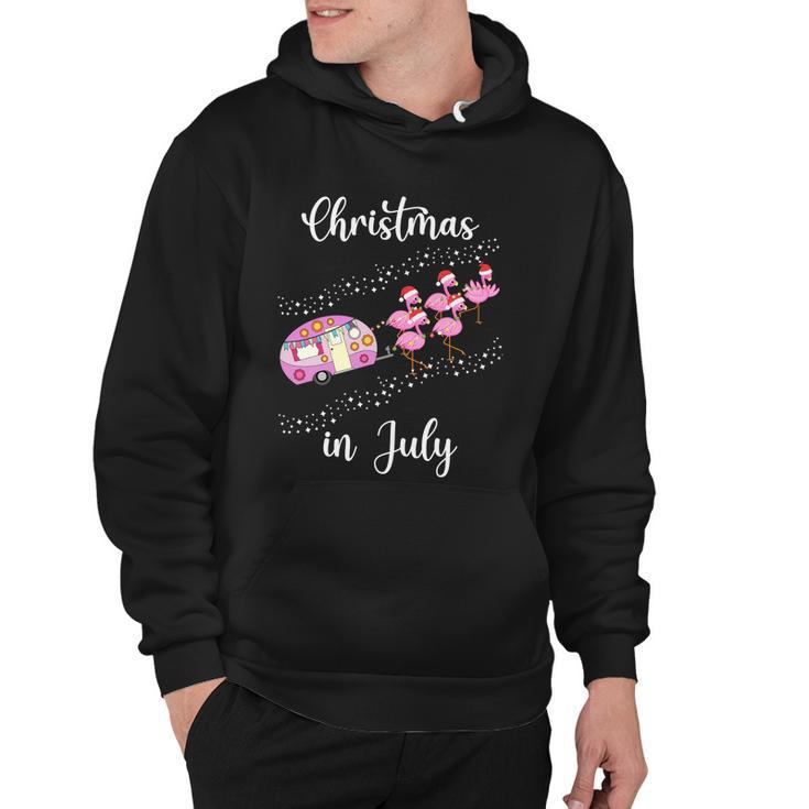 Funny Flamingo Pink Retro Camping Car Christmas In July Great Gift Hoodie