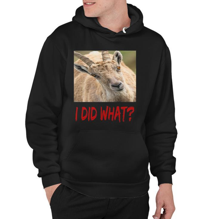 Funny Horned Scapegoat Tee I Did What Hoodie