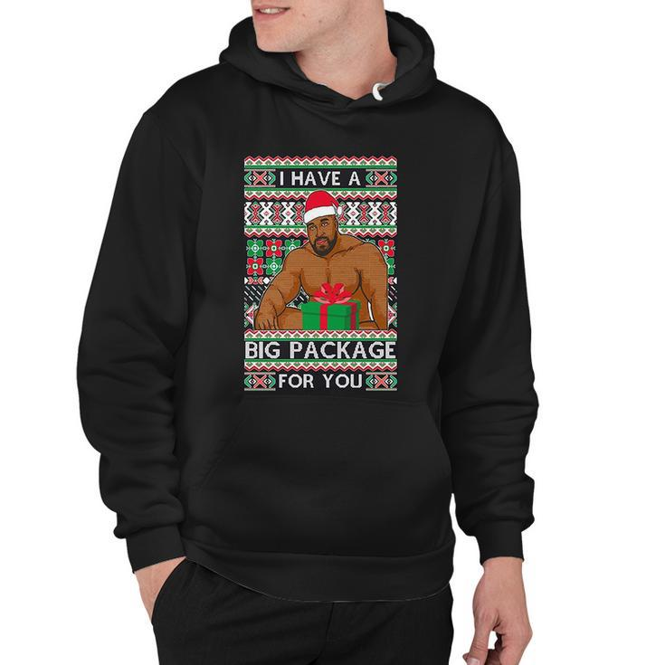 Funny I Have A Big Package For You Ugly Christmas Sweater Tshirt Hoodie