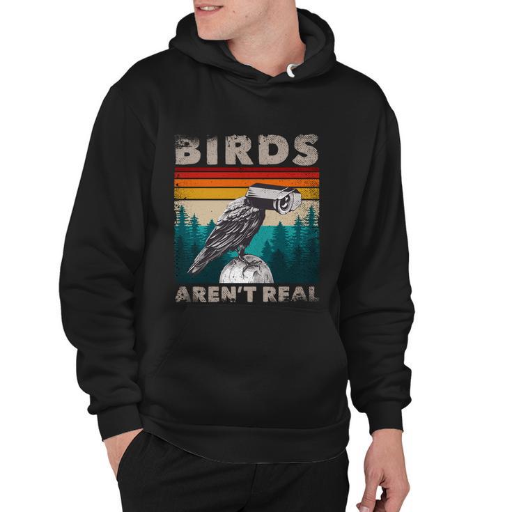 Funny Meme Birds Surveillance Truther Cctv Bird Arent Real Gift Hoodie