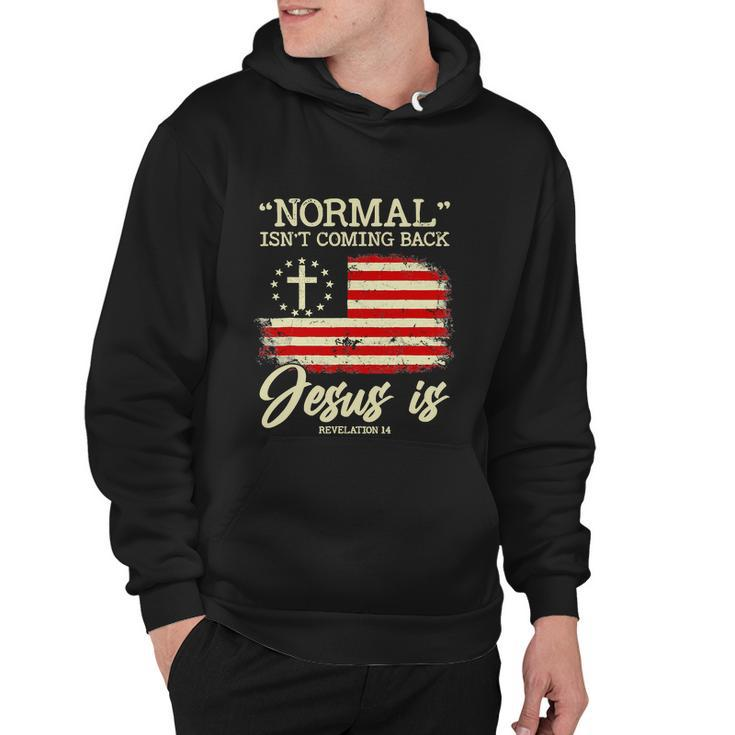 Funny Normal Isnt Coming Back But Jesus Is Revelation  Hoodie