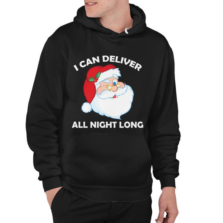 I Can Deliver All Night Long X-Mas Bad Santa Tshirt Hoodie