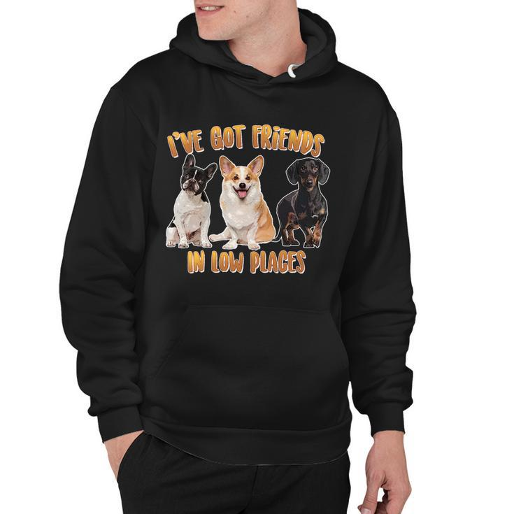 I Got Friends In Low Places Dogs Hoodie