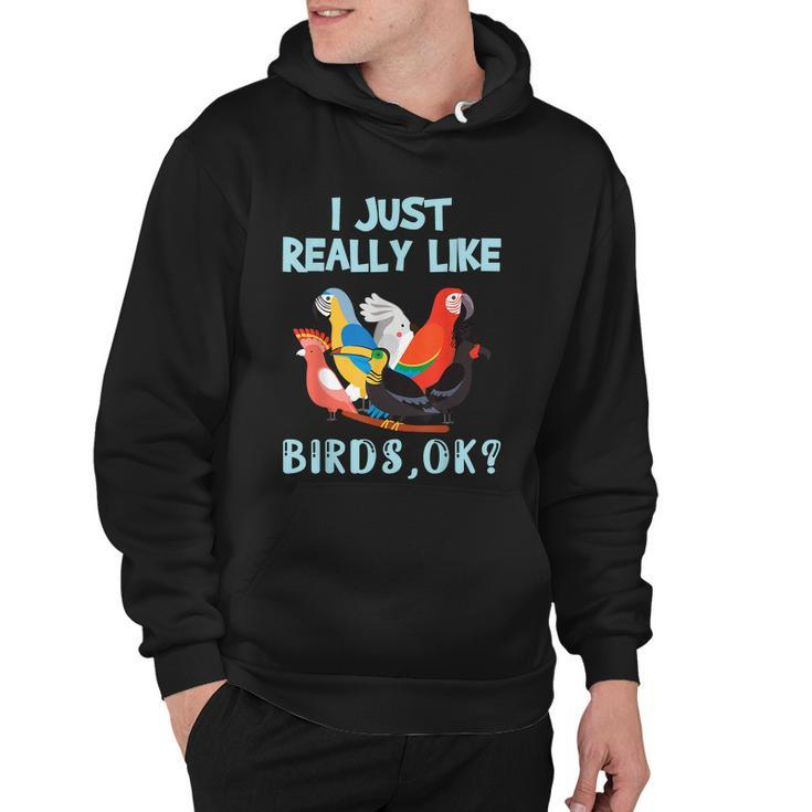 I Just Really Like Birds Ok Funny Toucan Macaw Parrot Hoodie