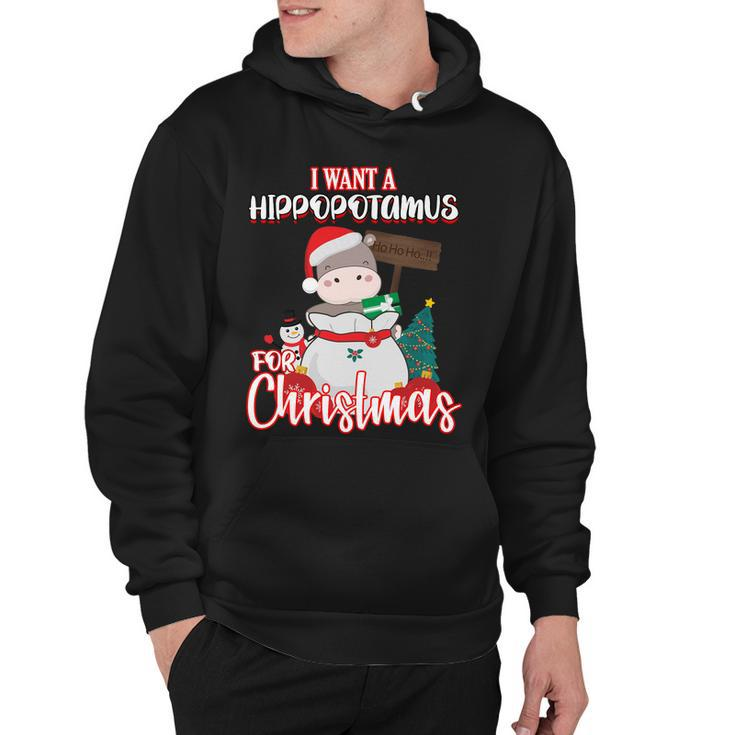 I Want A Hippopotamus For Christmas Ho Ho Ho Hoodie