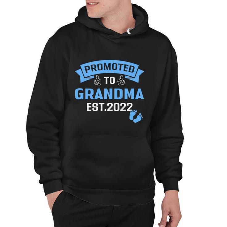 Im Going To Be A Grandma Funny Promoted To Grandma 2022 Meaningful Gift Hoodie